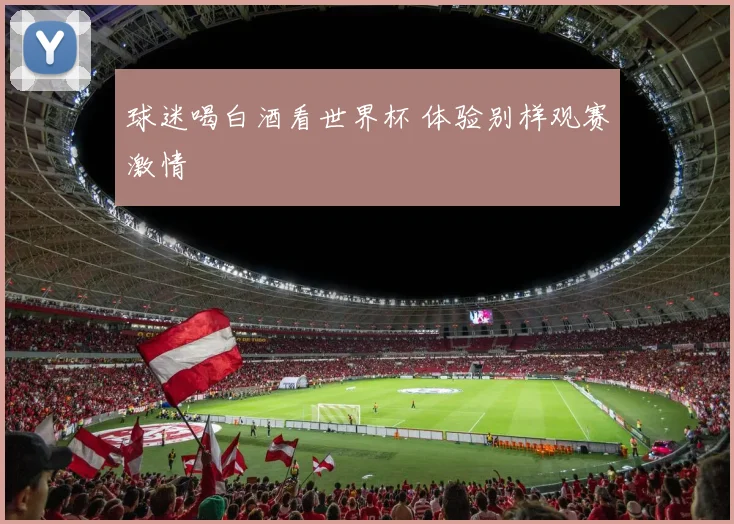 球迷喝白酒看世界杯 体验别样观赛激情