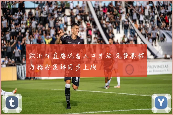 欧洲杯直播观看入口开放 免费赛程与精彩集锦同步上线