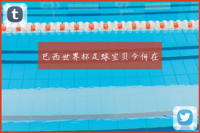 巴西世界杯足球宝贝今何在